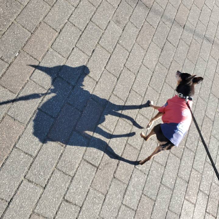 15243092 5d4d 4c67 88e7 26269ef3995a 1679217852397