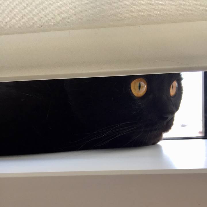 1524401f c369 49ff baad 1ca081aa5b2c 1530223264309