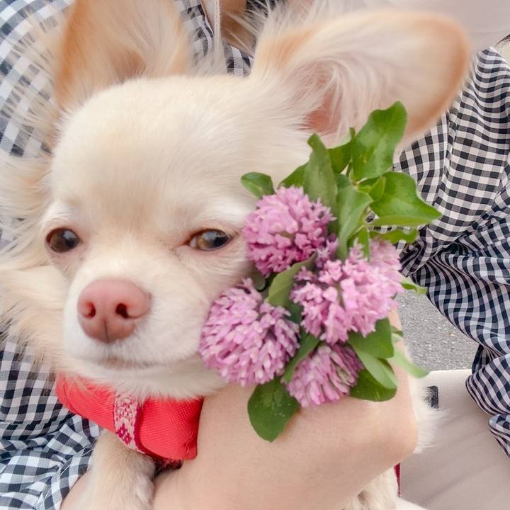 15244ce3 cd67 42b7 80c5 cd9b3e3f1a73 1619080640097