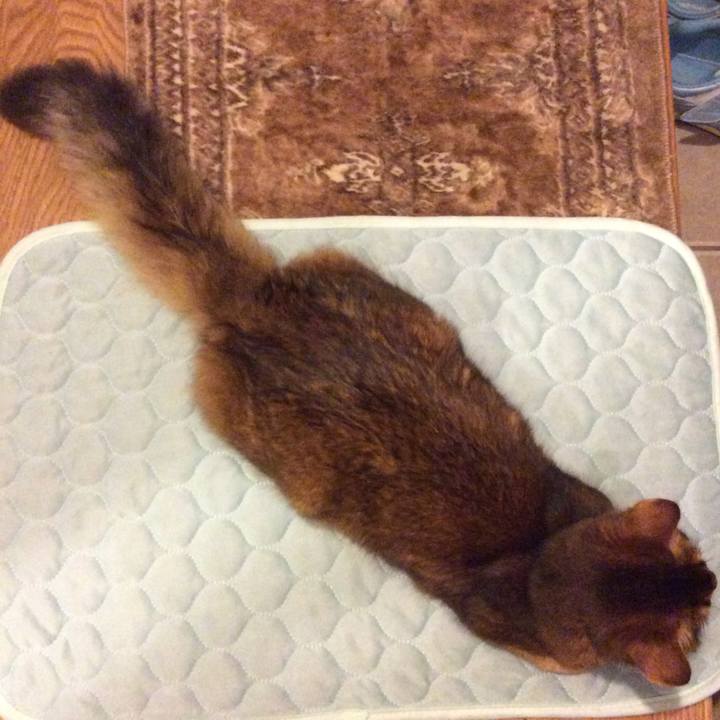 15245fc2 233b 49c2 bc65 db82838b7687 1567418834940