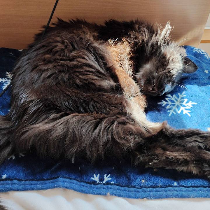 15246d17 60e8 4783 8f8e 96408aa9d0bd 1775617054522