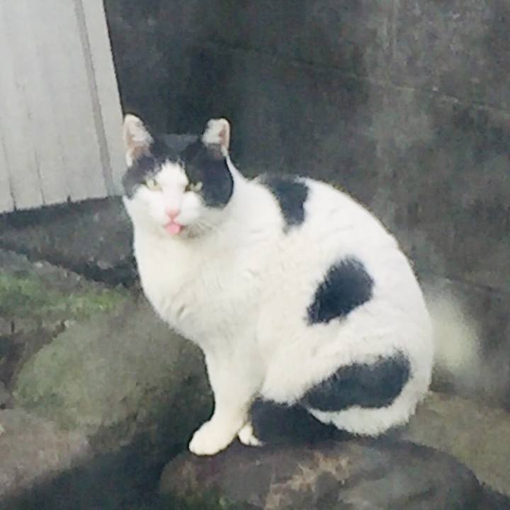 1524c1bd 672b 4293 87a6 bdd7beb8e737 1657663986791