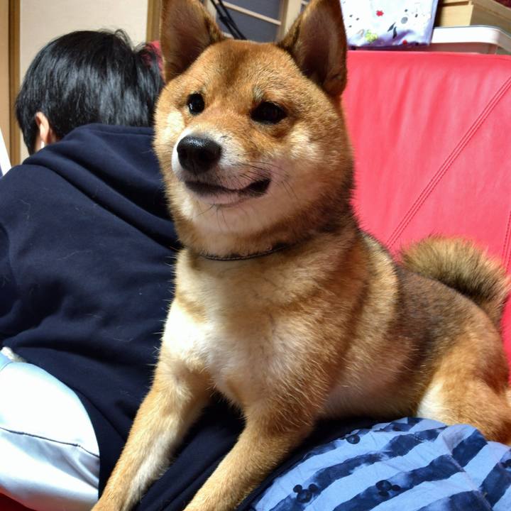 1524cf73 2eb7 4881 8ca5 a147072cc26d 1529925922779