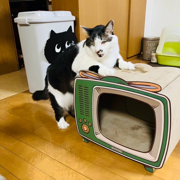 1524e62f 7587 49a7 861d a8175fbc5c2a 1737778659113