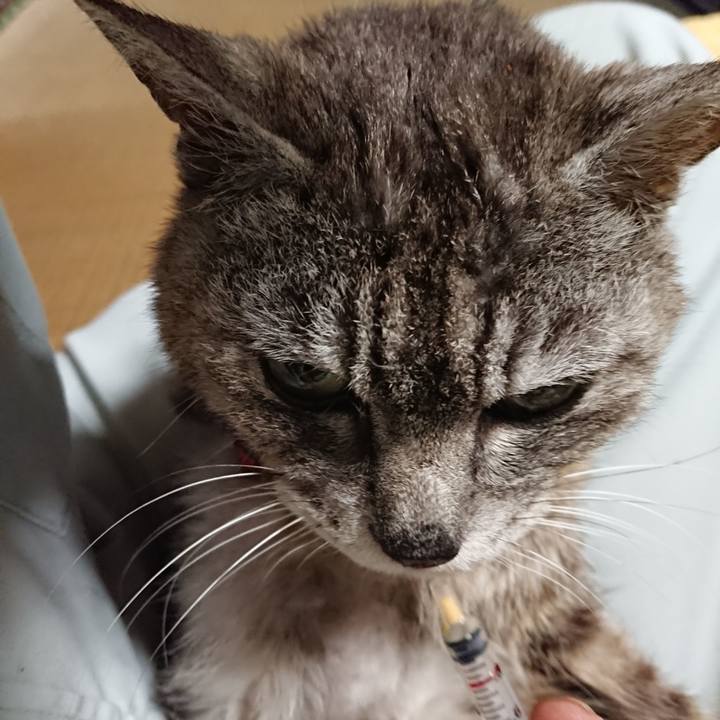 1524fc21 e3bb 4937 a8de 853516e1c3b9 1594763029015