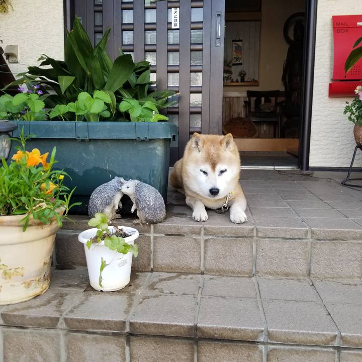 152538b0 bac2 4732 9cab cbcb81fbcd86 1745019515420