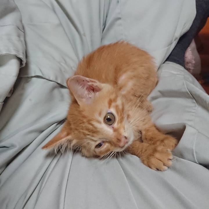 15254b4b a93f 440f a7c4 f85c5a1941a9 1628199100396