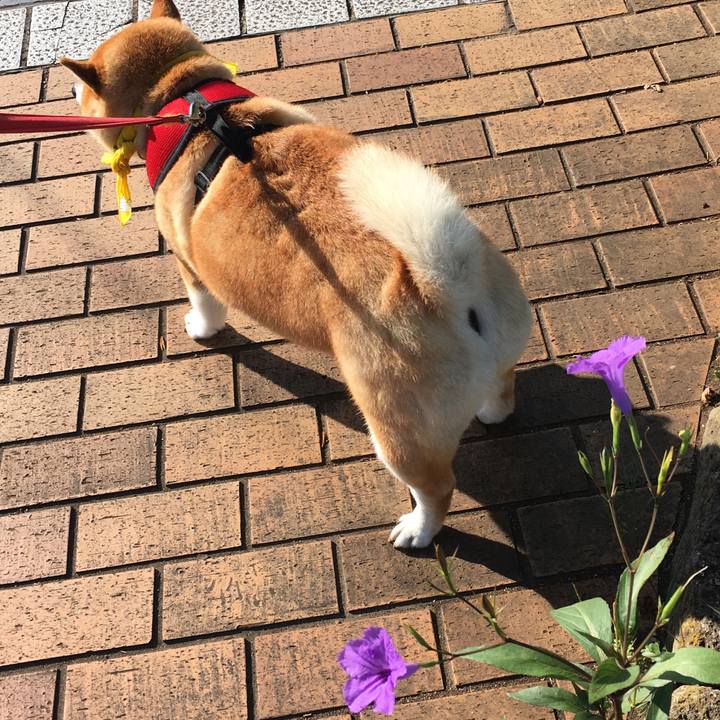 15257671 5faa 4d9e 89fd be7235c2a933 1597963849200