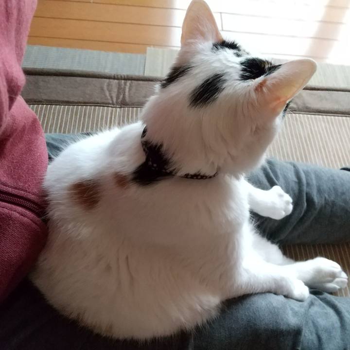 15258fb4 2a27 4d43 85d5 3ec619725a9e 1592960027953