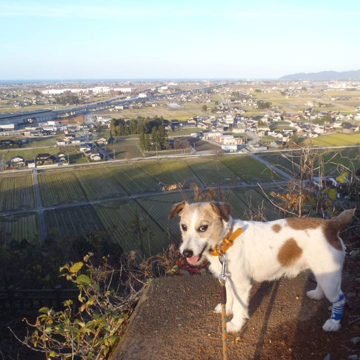 15259d25 5fc3 4e0e 891b 5e33b4ca61fa 1543749636040