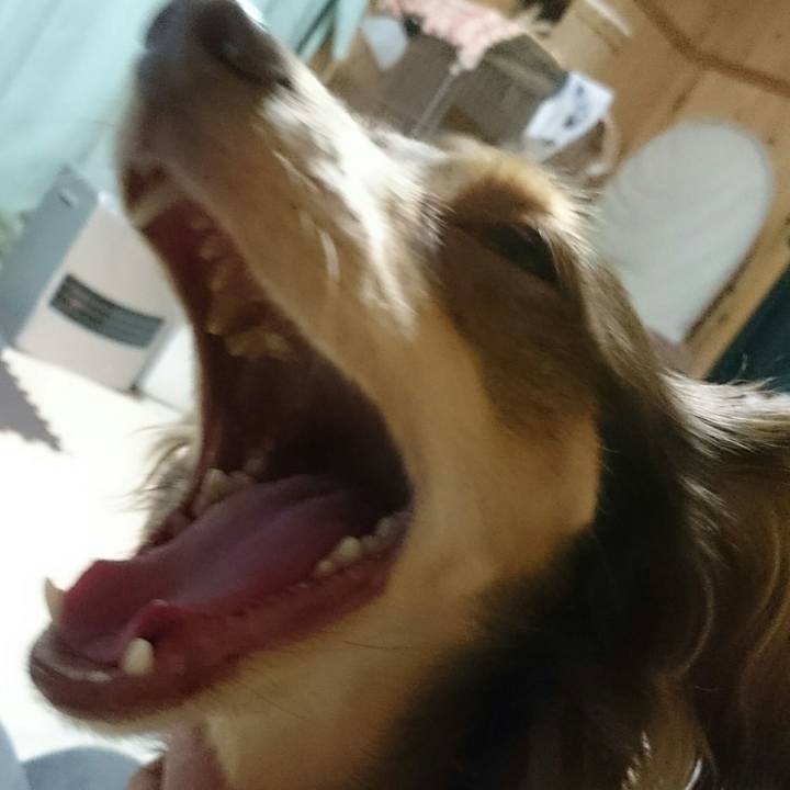 1525d019 8a57 4680 80e9 c2d9eb4fbc97 1517399035645