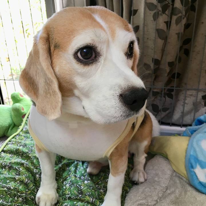 1525d3b2 63c4 43fb be5e 578f0a0da3c7 1727472671213