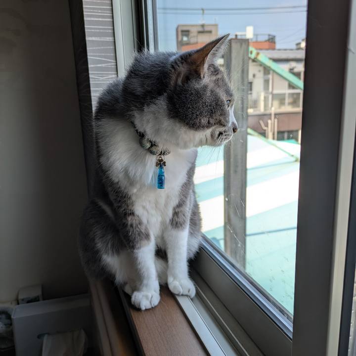 1525fef5 2c96 48e2 9338 93501ca0221c 1753231950344