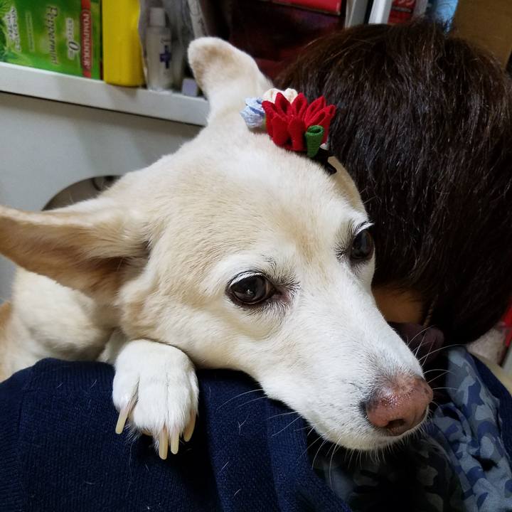 15261e72 116c 471a b2a7 c091a9ee3d12 1586103875070