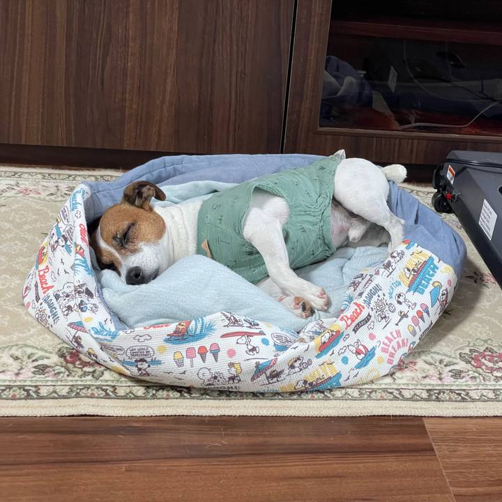 1526361a c7b5 4d37 b7db b573bfb105f6 1718707011895