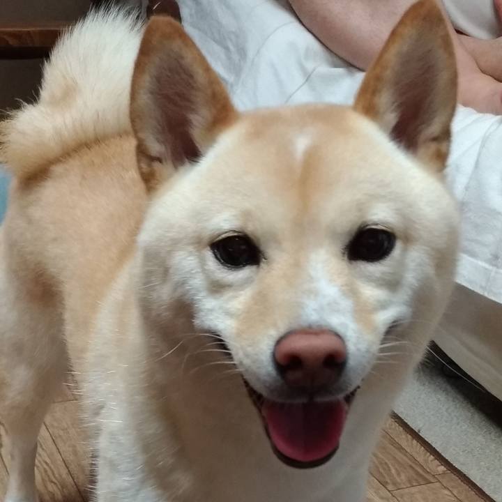 15263fc4 e4f1 4ad1 8629 873d12db4ec6 1562392537708