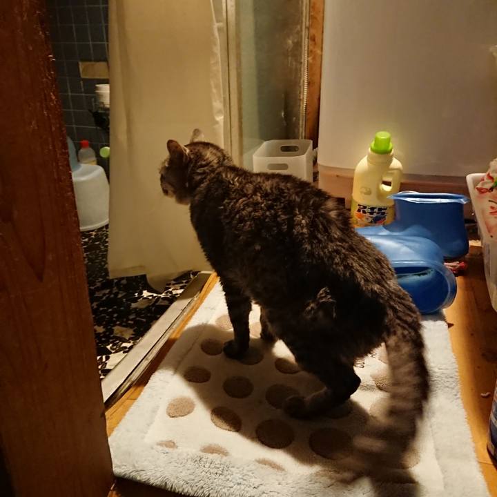 152645fd 5fe1 43b9 980e bd7c24b5dfa4 1573718468629