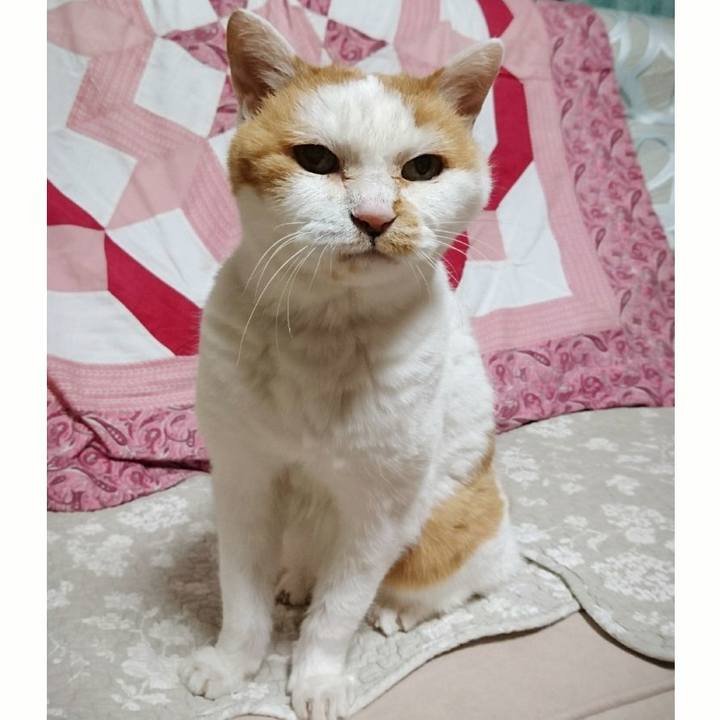 15265cb1 5660 4046 ae14 794eaa1968c1 1556370307880