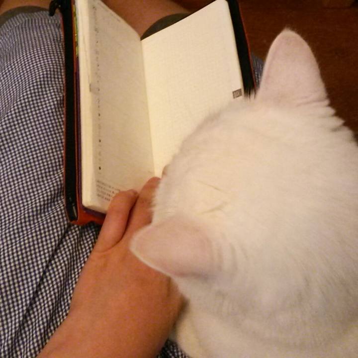 152681b2 b33c 49e7 9845 388f03253d72 1539998797901