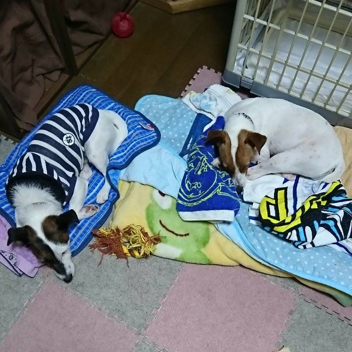 1526b29e 2334 4abc 8cab 7b9f1cc4e36c 1530658065000