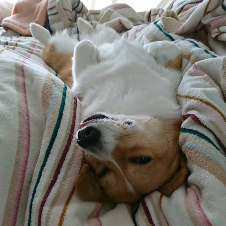 1526f881 6561 4387 a720 d493a7bd79cb 1526866812756