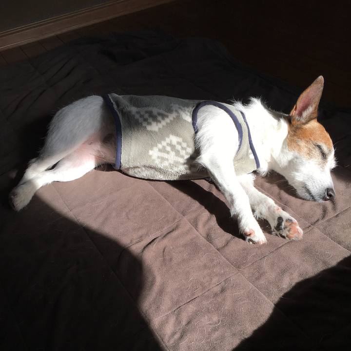 152721ec 1b7c 4e08 af04 1d6f53988a87 1640739301736