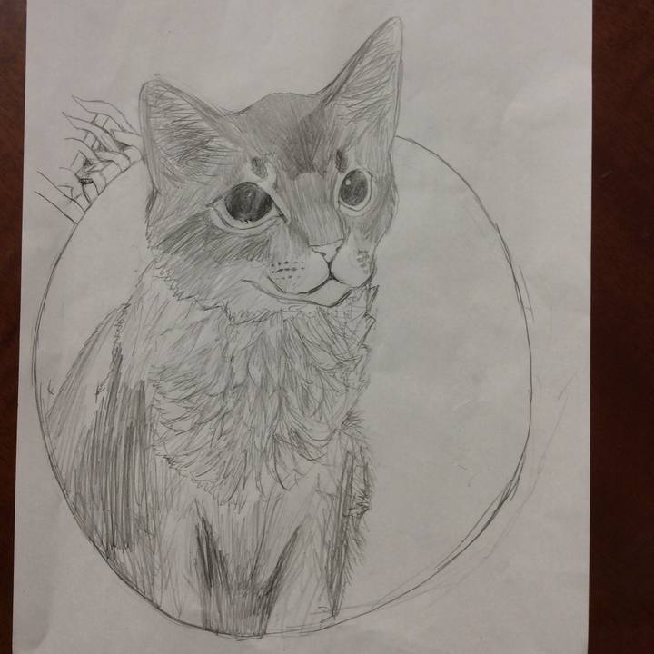 15285b3b 0371 4cc4 9b18 0cbc28d40049 1574085304257