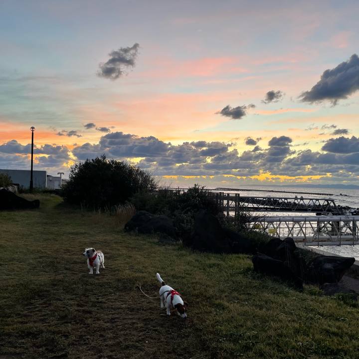 15287716 21d9 40a3 8fdb d0babd599be2 1666687265407