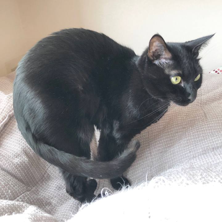 15287ff6 5188 48c8 a7ed 5f2e855902c8 1584611386029