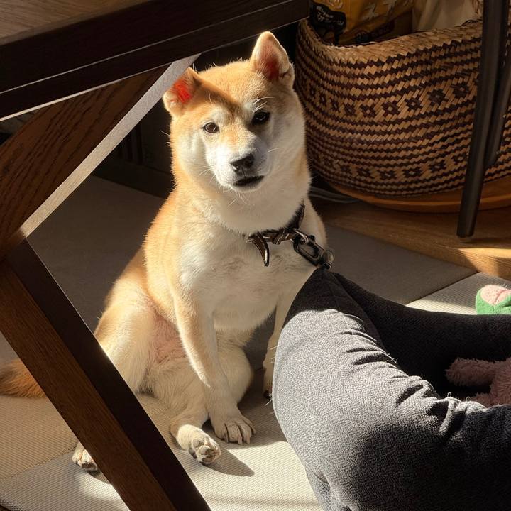 15289a83 36ac 4a0b a055 7b204b89e98a 1769309571812