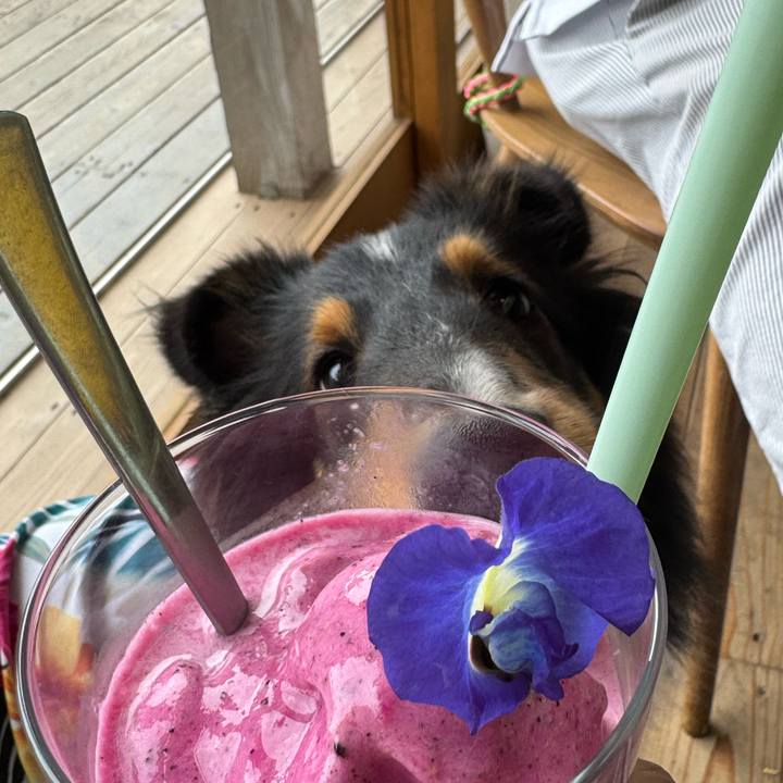 1528ac43 d03b 49c5 9503 4c3c8e06a0b5 1758458109651