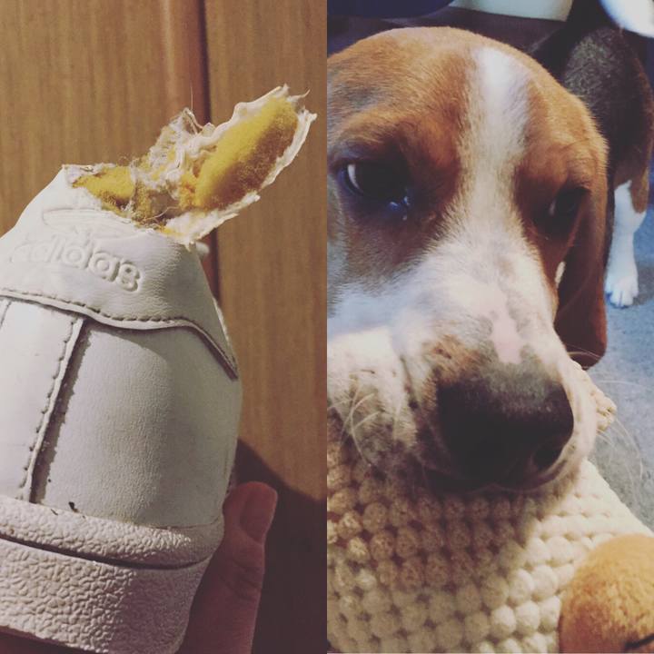 15290386 9a10 46c5 b42e 77c254e09038 1522412601853