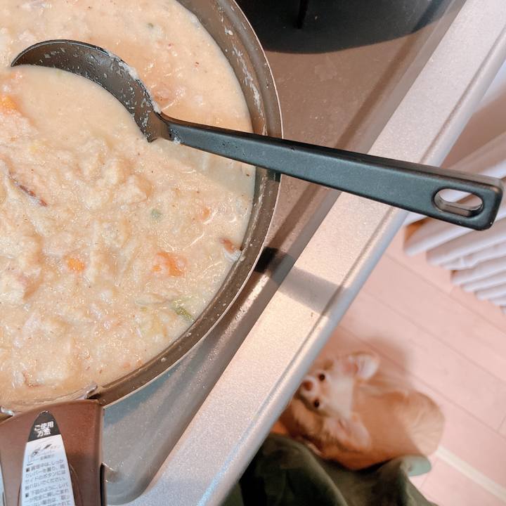 1529052a 1faf 45ee a17e 137523eb970f 1663230971780