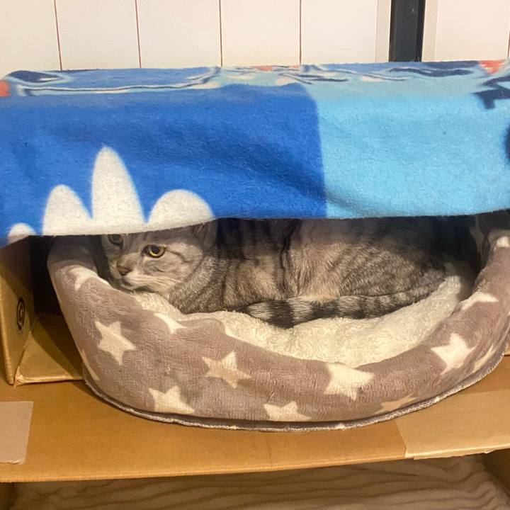 15291769 2ba1 437d 8ee6 89b5244cdf81 1730976228938