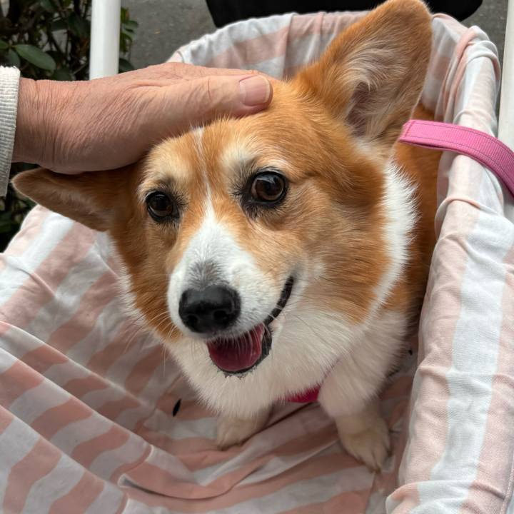 152986a9 9adf 479c 8e01 3cb7ff036db7 1729479876739