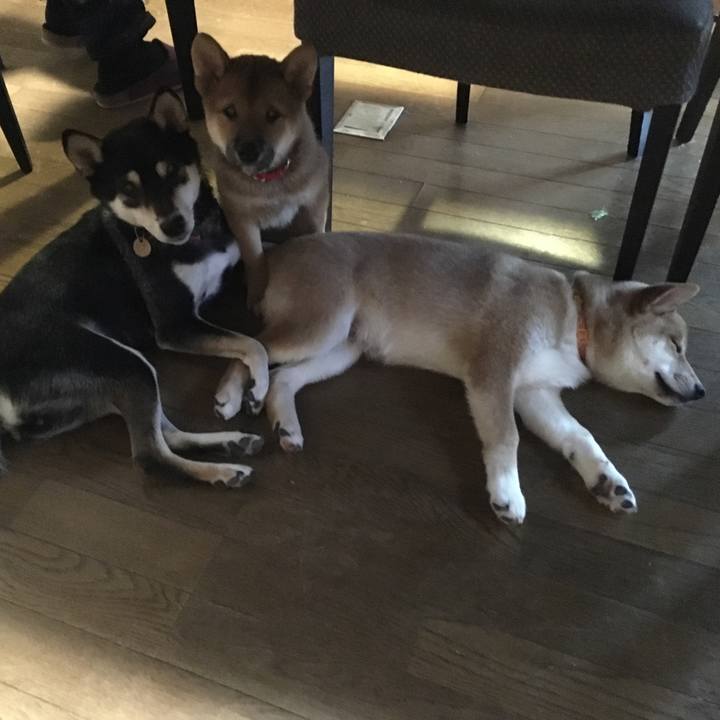 1529c088 90f0 4b56 8fad f24162146531 1509260220245