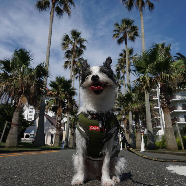 1529ff3e 2f9d 4c03 b1db 9c72c02cd1dc 1631367860863