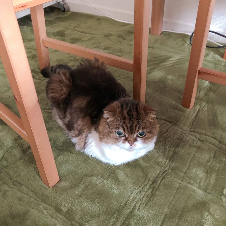 152a0fd9 7396 4a1d 8cc5 c65bb62927b6 1620951141517