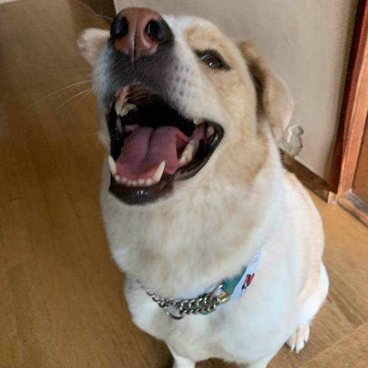 152a37e3 7008 4f8d 84ca d185dd2c75c8 1565049154329