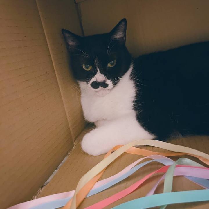 152a57b0 5ae1 49a6 bc2b f40db758ac6c 1693871804731