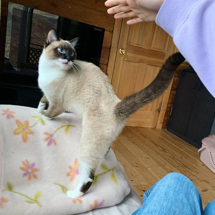 152aa85d 258b 4d29 91b9 5718574cdd46 1679648361865