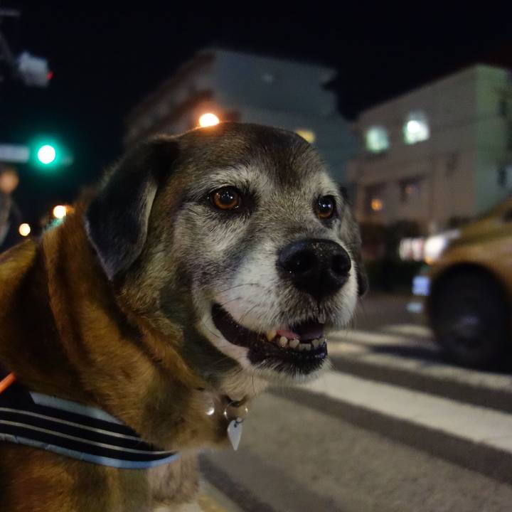 152aae69 aab8 4ae8 9f8e 05c1091f510a 1553682487930