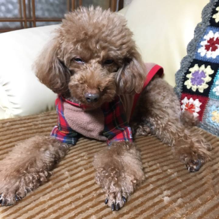 152ac12e 48b0 4e98 9c21 daa274c034db 1545911759474