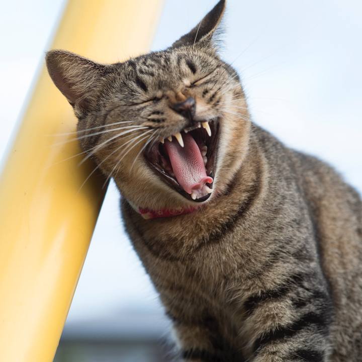 152b02b6 c5c2 4131 a81a f03fa5c8ac32 1537059180410