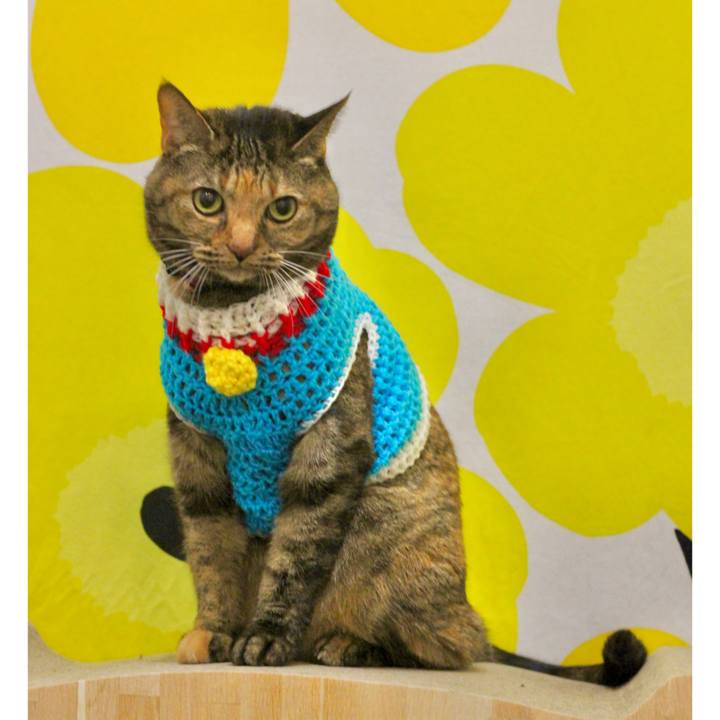 152b17bf 9b4b 44a2 ba5b 662702db32ce 1671404973325