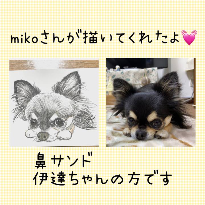 152b3b9d 8084 43c4 93ae 806194cdc611 1640094935346