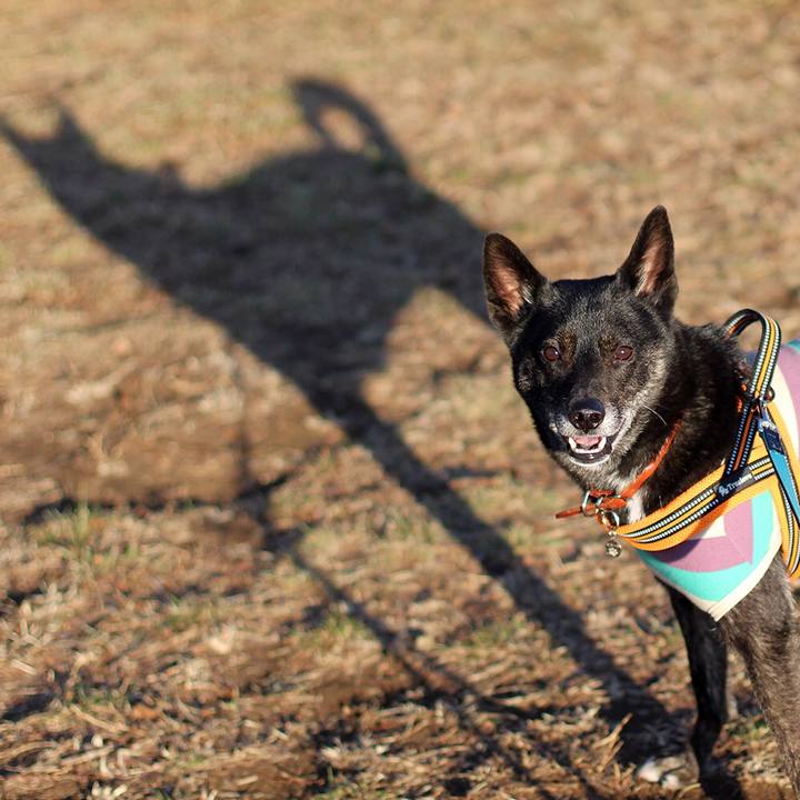 152b4cd0 0b4f 4112 b276 4d497b8c4c55 1634081400876