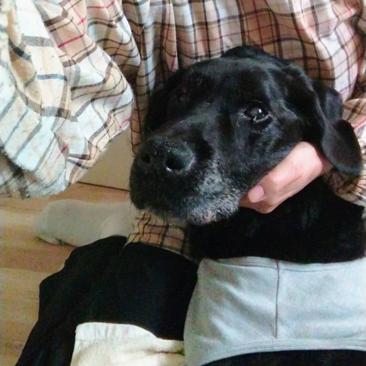 152b5205 07c1 4c84 a61d 6ef45326b694 1731287801066