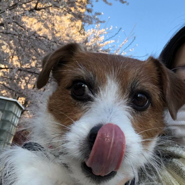 152b663a f60e 4cc3 9099 ae4501e176a9 1616717423515