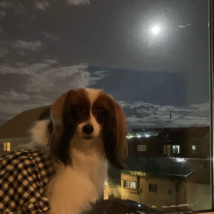 152bb2a5 e538 4b34 96bd 0825c92e95e9 1726582461748